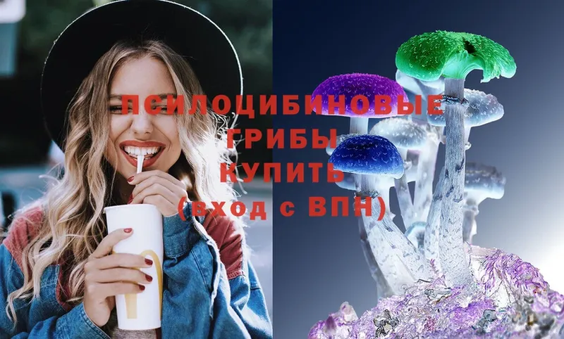 Псилоцибиновые грибы ЛСД  omg сайт  Сорочинск 